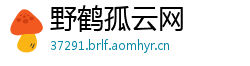 野鹤孤云网